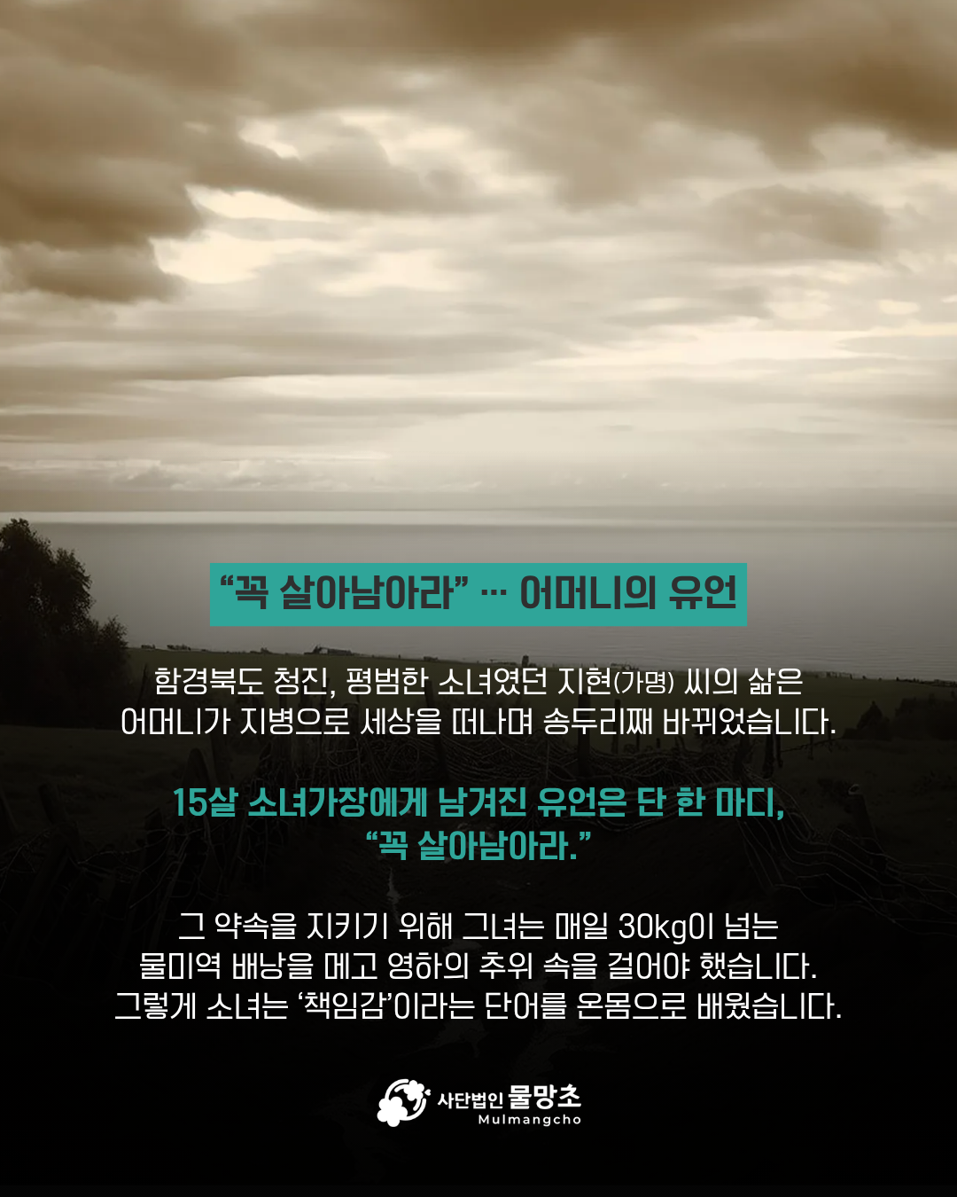 KakaoTalk_20260122_155458659_01_01919